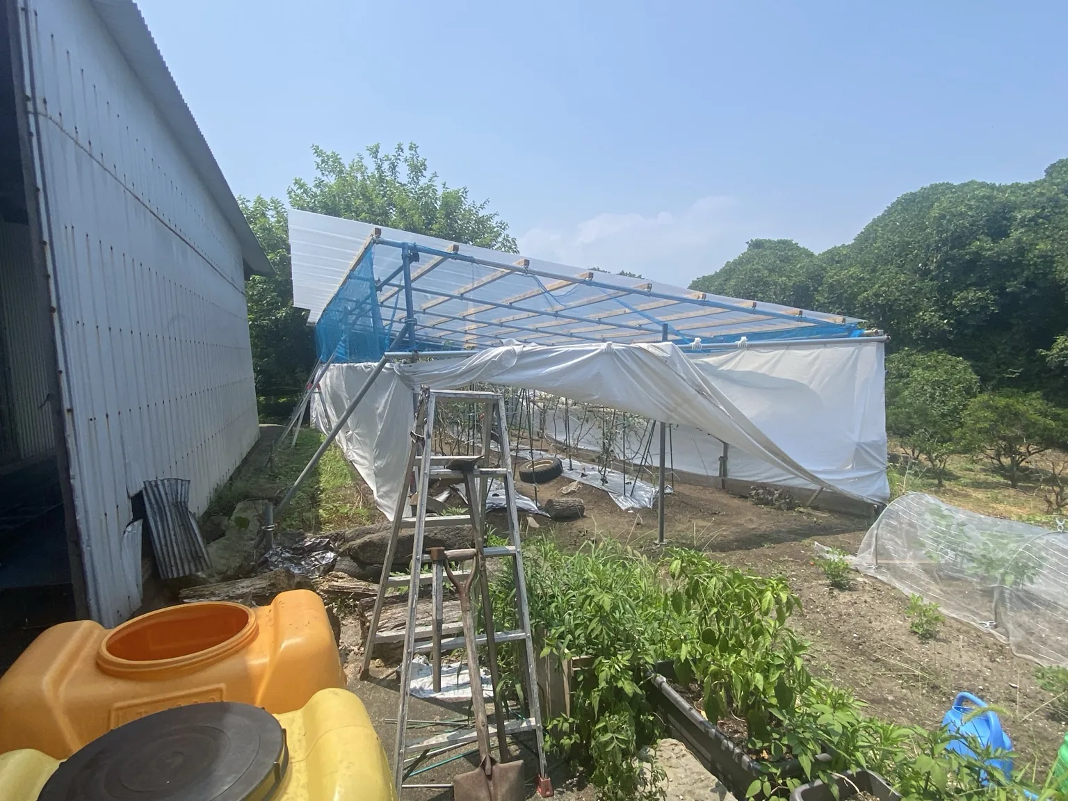 就労継続支援B型事業所で使用予定の畑とハウス